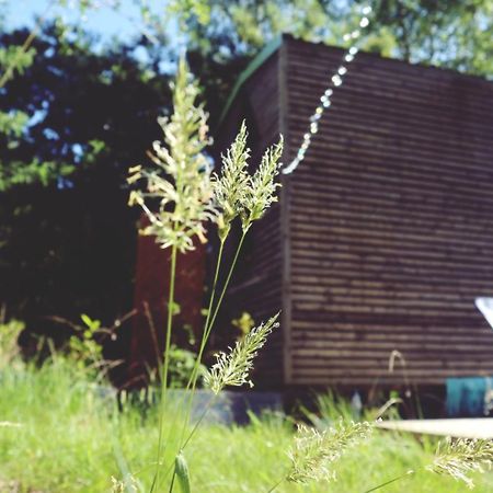 Tiny House Nouvelle Annonce Boho Ocean Otel Naujac-sur-Mer Dış mekan fotoğraf